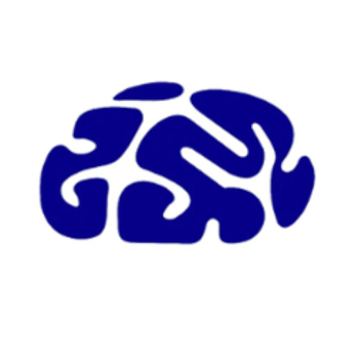 https://hopeforyourbrain.com/wp-content/uploads/2022/09/cropped-web-nstms-site-icon.jpg